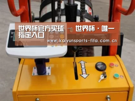 世界杯投注案例展示三