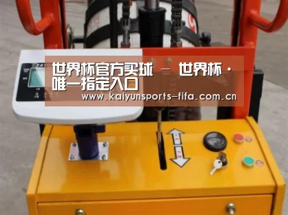 世界杯投注案例展示三(图1)