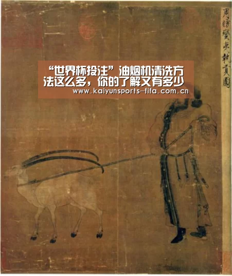 “世界杯投注”油烟机清洗方法这么多,你的了解又有多少呢?(图2) 世界杯投注