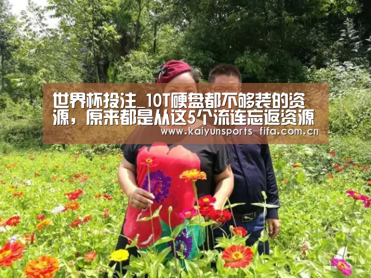 世界杯投注_10T硬盘都不够装的资源,原来都是从这5个流连忘返资源网站获取的(图2) 世界杯投注