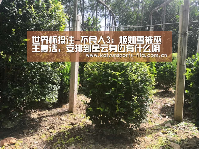 世界杯投注