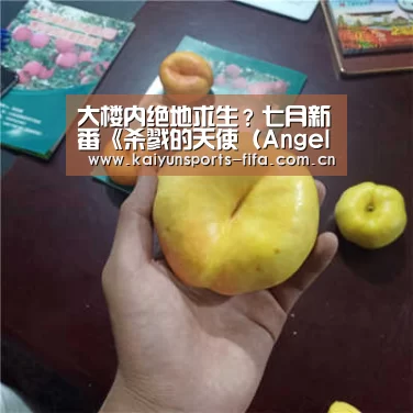 世界杯投注